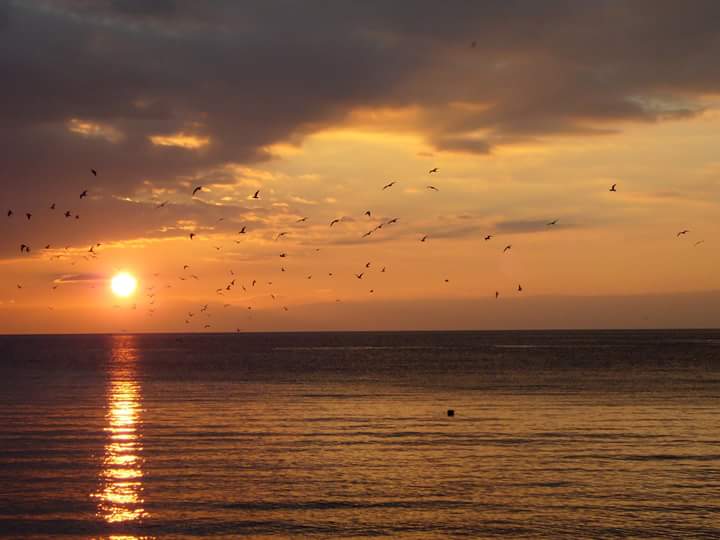 pôr-do-sol